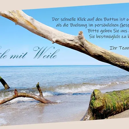 Eiche - Ulenhoef
